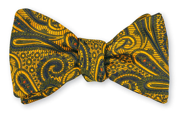 chastain paisley bow tie