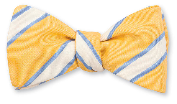 Dudley Stripes Bow Tie
