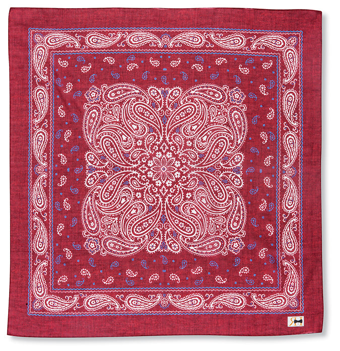 Red Paisley Bandana