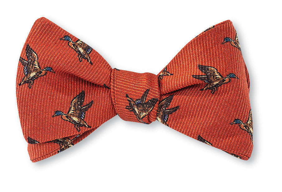 Henna Caldwell Ducks Bow Tie