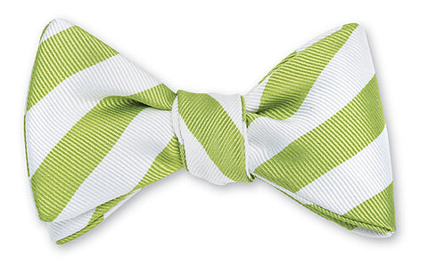 stripe bow tie