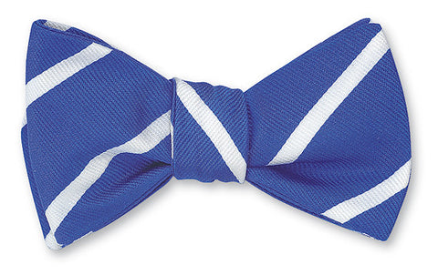 blue bow ties